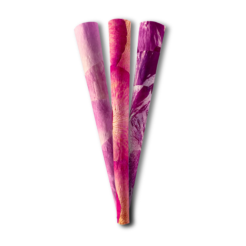 Zig-Zag King Size Rose Cones - 3 Pack Tube