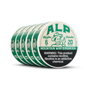 ALP Mountain Wintergreen Pouch
