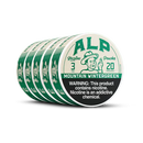 ALP Mountain Wintergreen Pouch